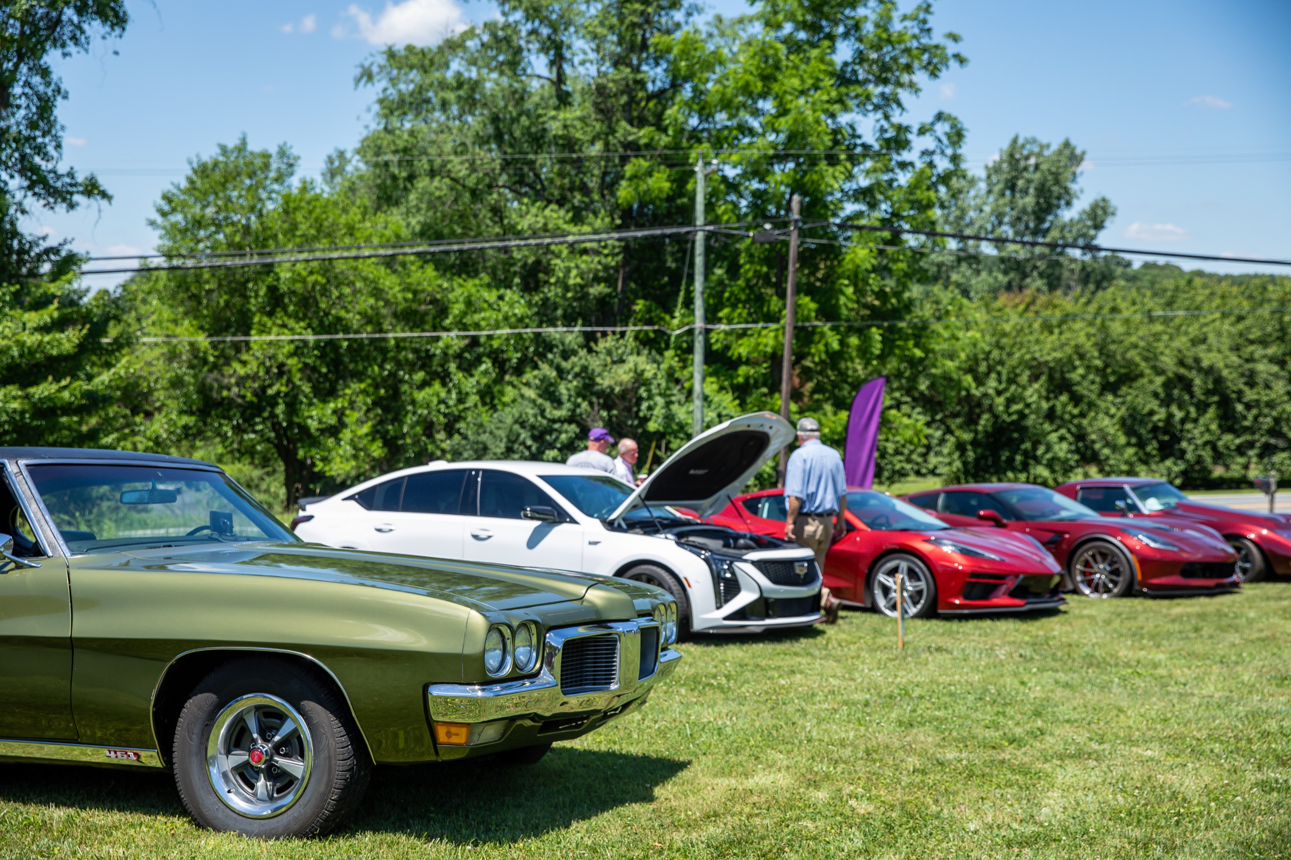 Classic cars on display at a community car show
